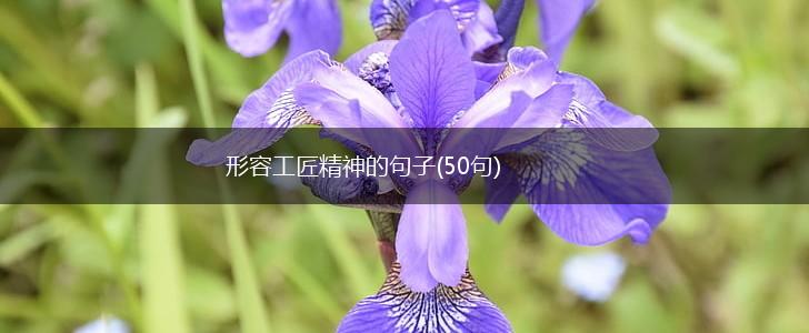 形容工匠精神的句子(50句),第1张
