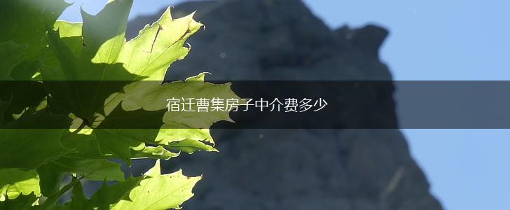 宿迁曹集房子中介费多少,第1张