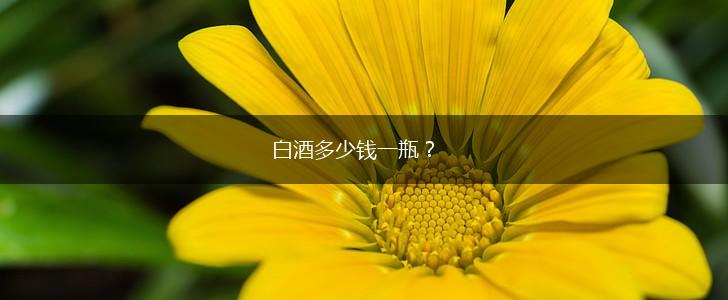 白酒多少钱一瓶？,第1张