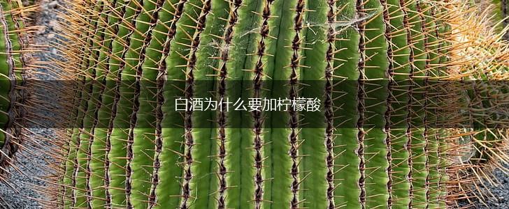 白酒为什么要加柠檬酸,第1张