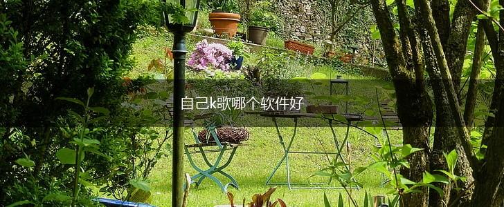 自己k歌哪个软件好,第1张