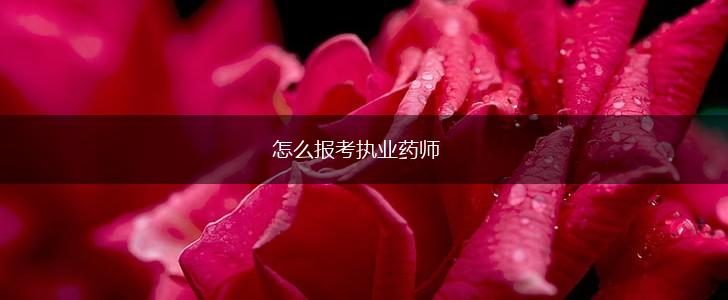 怎么报考执业药师,第1张