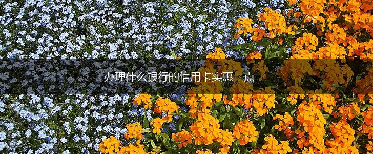 办理什么银行的信用卡实惠一点,第1张