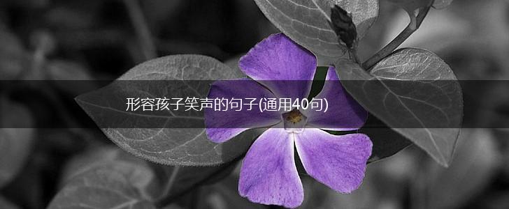 形容孩子笑声的句子(通用40句),第1张