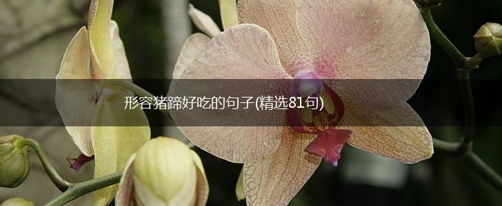 形容猪蹄好吃的句子(精选81句),第1张 形容猪蹄好吃的句子(精选81句),第1张