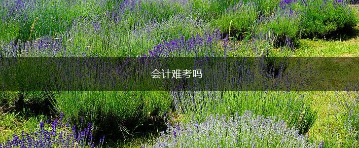 会计难考吗,第1张