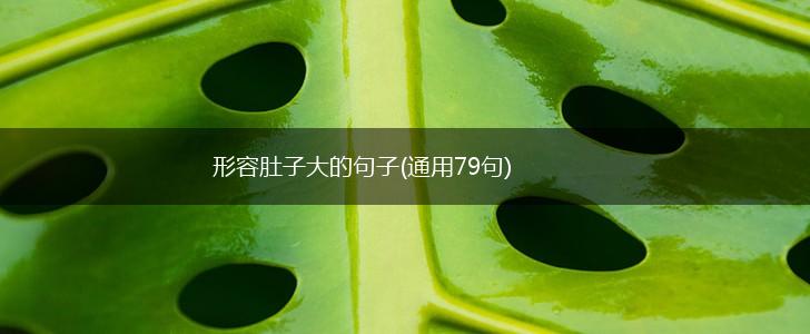 形容肚子大的句子(通用79句),第1张
