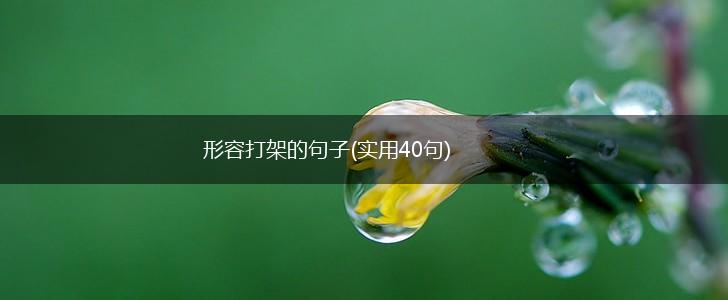 形容打架的句子(实用40句),第1张