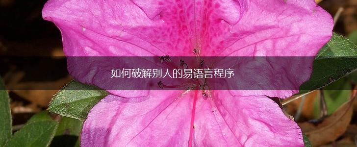 如何破解别人的易语言程序,第1张