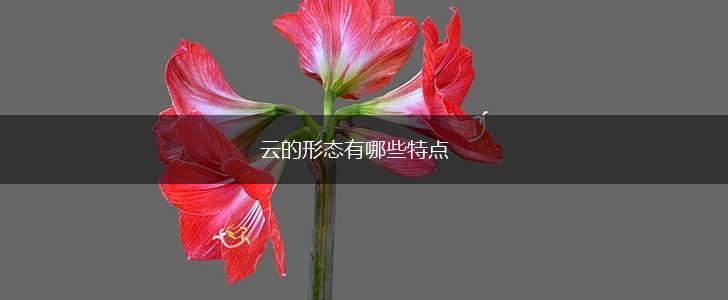 云的形态有哪些特点,第1张