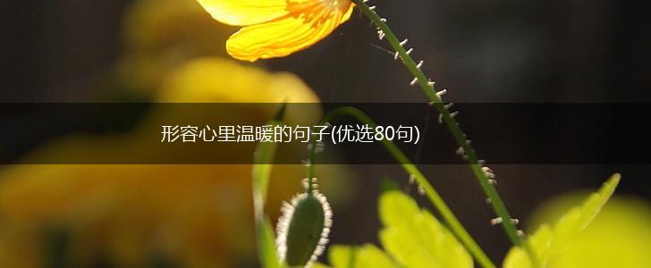 形容心里温暖的句子(优选80句),第1张