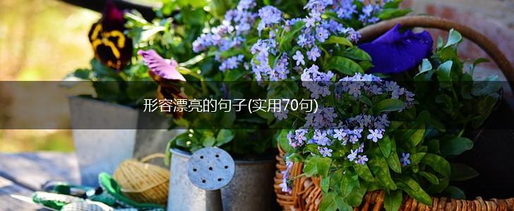 形容漂亮的句子(实用70句),第1张