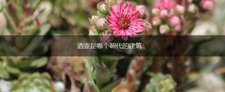 酒壶是哪个朝代的建筑,第1张