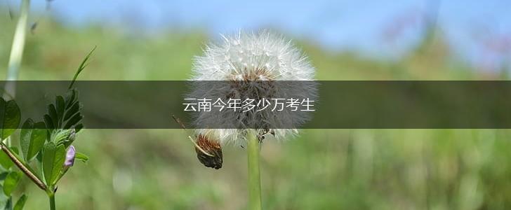 云南今年多少万考生,第1张