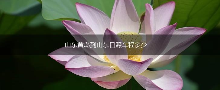 山东黄岛到山东日照车程多少,第1张