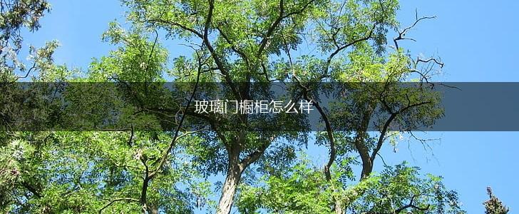 玻璃门橱柜怎么样,第1张
