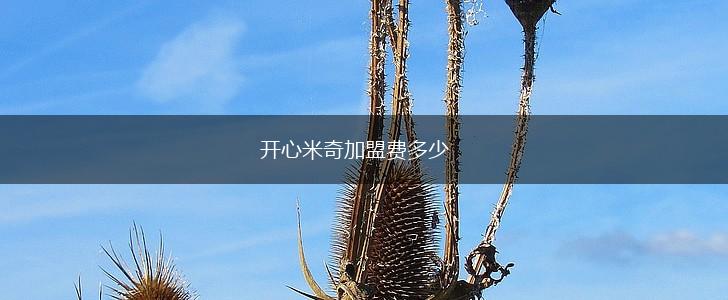 开心米奇加盟费多少,第1张