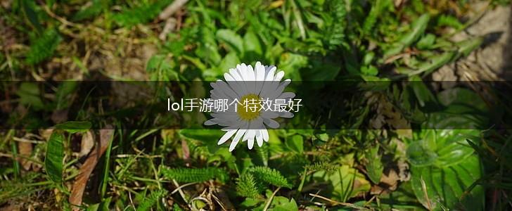 lol手游哪个特效最好,第1张