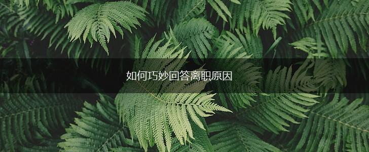 如何巧妙回答离职原因,第1张