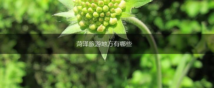 菏泽旅游地方有哪些,第1张