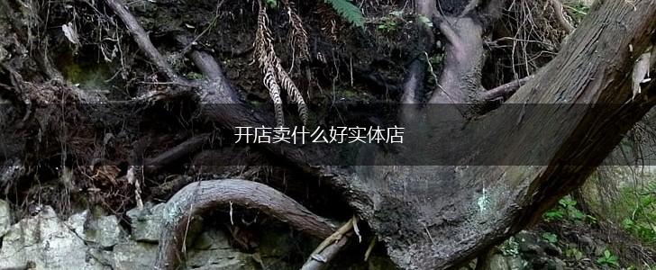 开店卖什么好实体店,第1张