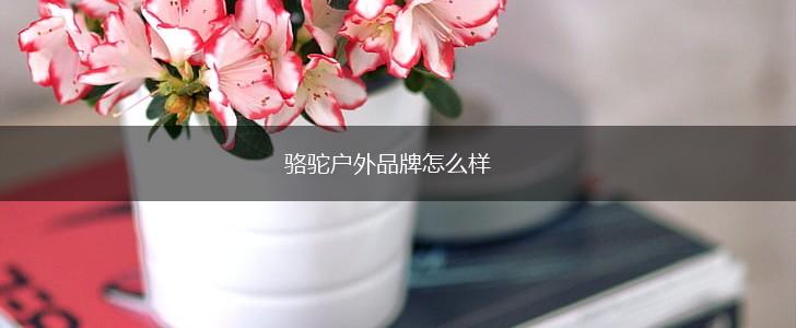 骆驼户外品牌怎么样,第1张