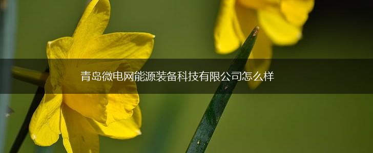 青岛微电网能源装备科技有限公司怎么样,第1张