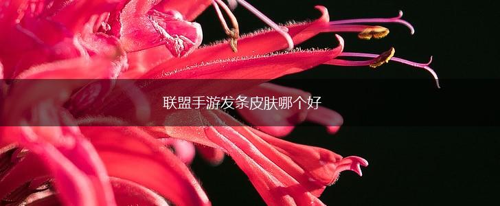 联盟手游发条皮肤哪个好,第1张