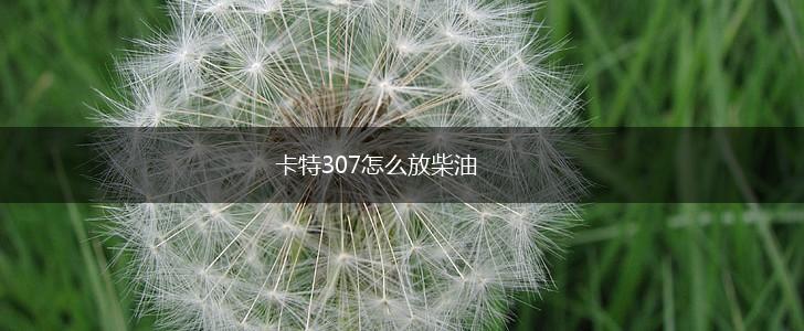 卡特307怎么放柴油,第1张