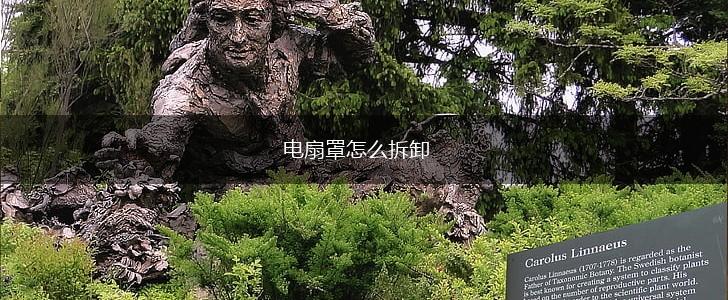 电扇罩怎么拆卸,第1张