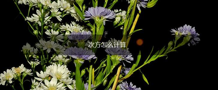 次方怎么计算,第1张