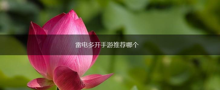 雷电多开手游推荐哪个,第1张