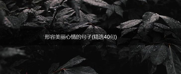 形容美丽心情的句子(精选40句),第1张