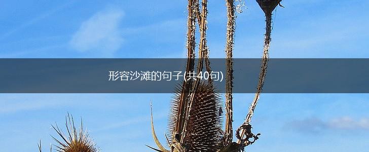 形容沙滩的句子(共40句),第1张