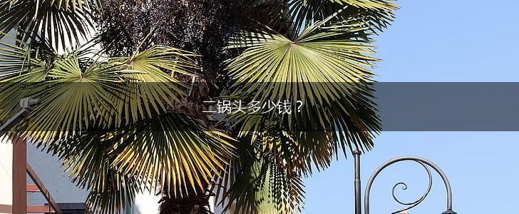 二锅头多少钱？,第1张