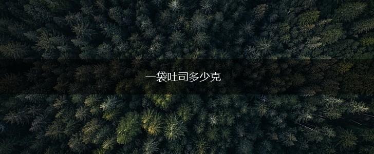 一袋吐司多少克,第1张