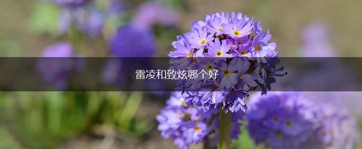 雷凌和致炫哪个好,第1张