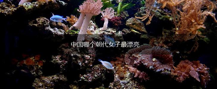 中国哪个朝代女子最漂亮,第1张