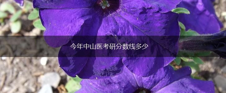 今年中山医考研分数线多少,第1张