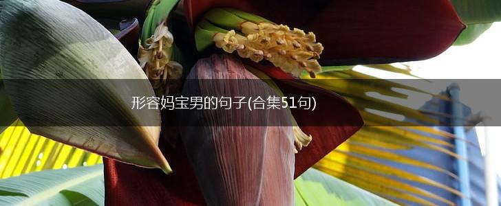 形容妈宝男的句子(合集51句),第1张