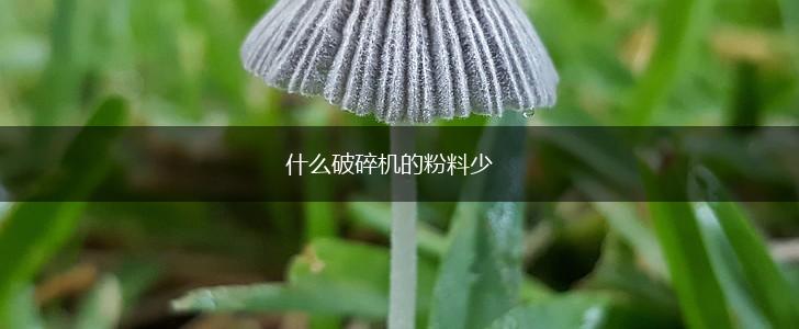 什么破碎机的粉料少,第1张