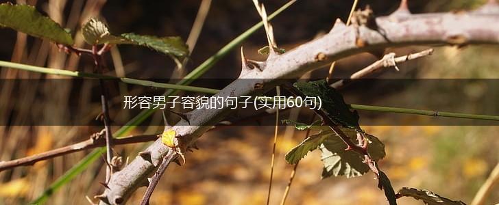 形容男子容貌的句子(实用60句),第1张