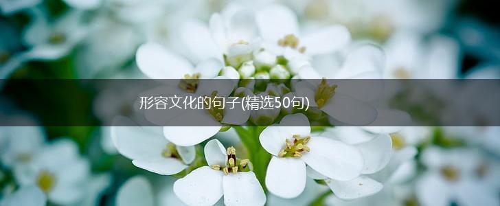 形容文化的句子(精选50句),第1张