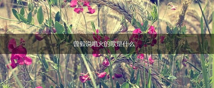 曾毅说唱火的歌是什么,第1张
