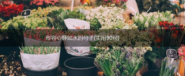 形容心静如水的句子(实用90句),第1张