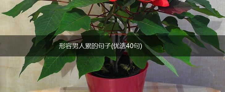 形容男人累的句子(优选40句),第1张