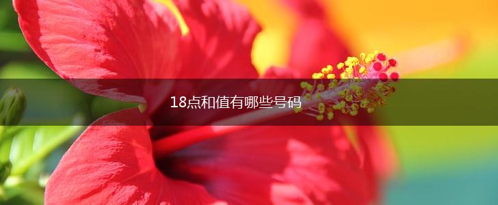 18点和值有哪些号码,第1张