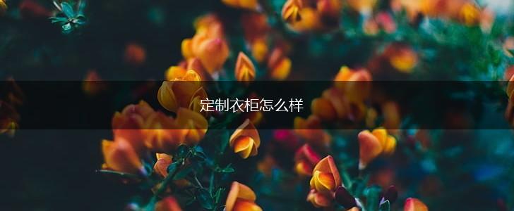 定制衣柜怎么样,第1张
