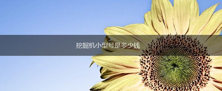 挖掘机小型号是多少钱,第1张