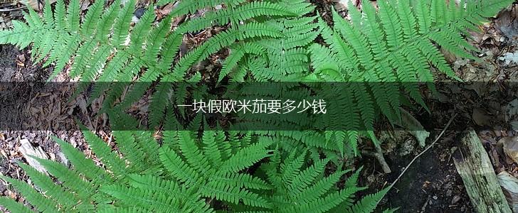 一块假欧米茄要多少钱,第1张